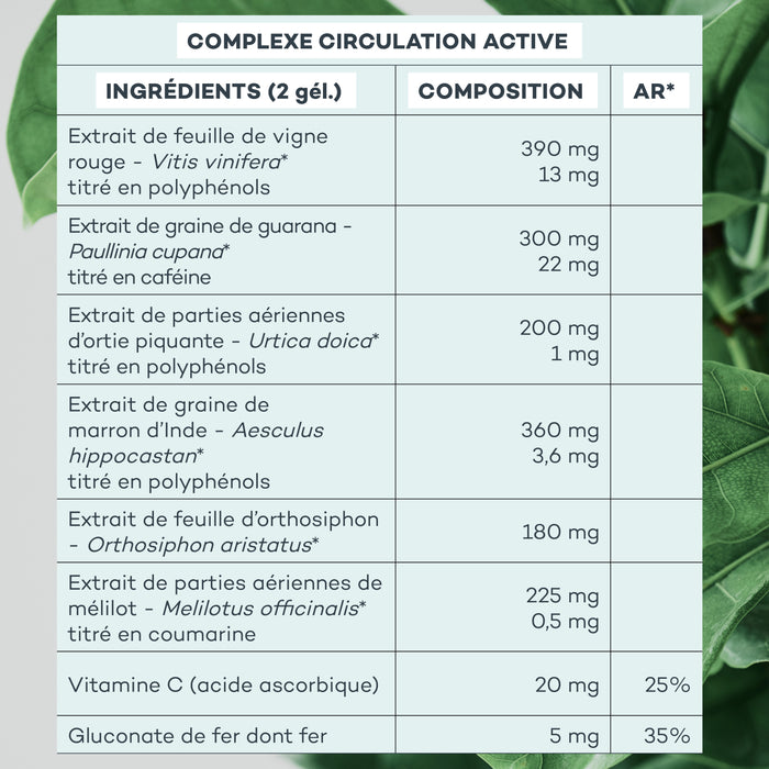 Action-Capitons - Etui Multilingue