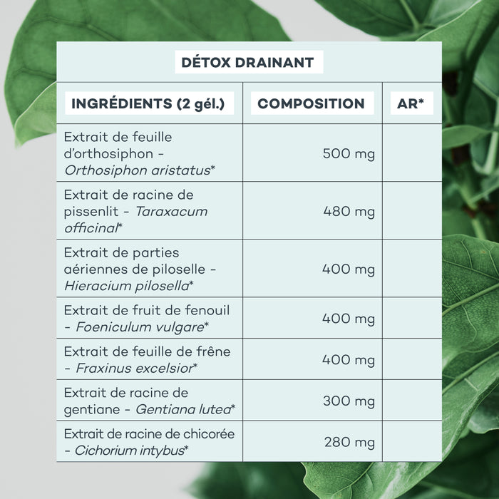 Action-Capitons - Etui Multilingue