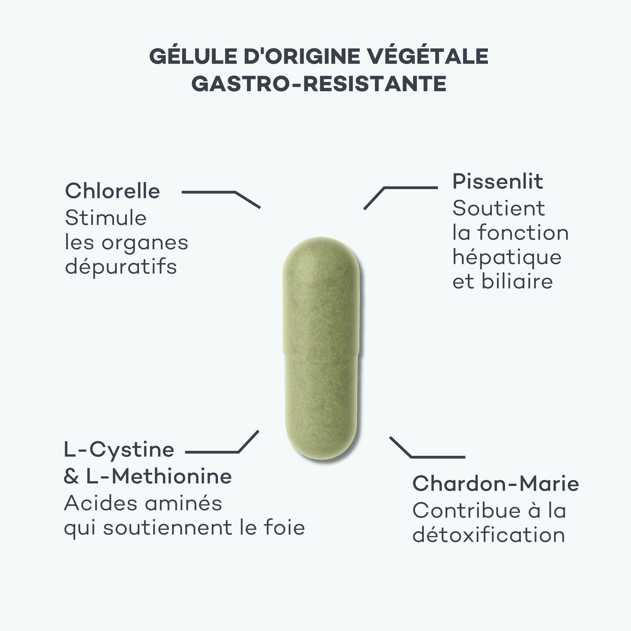nettoyer le foie