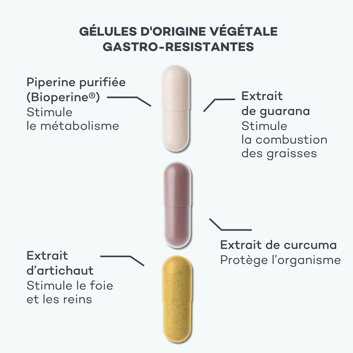 gélule brule graisse