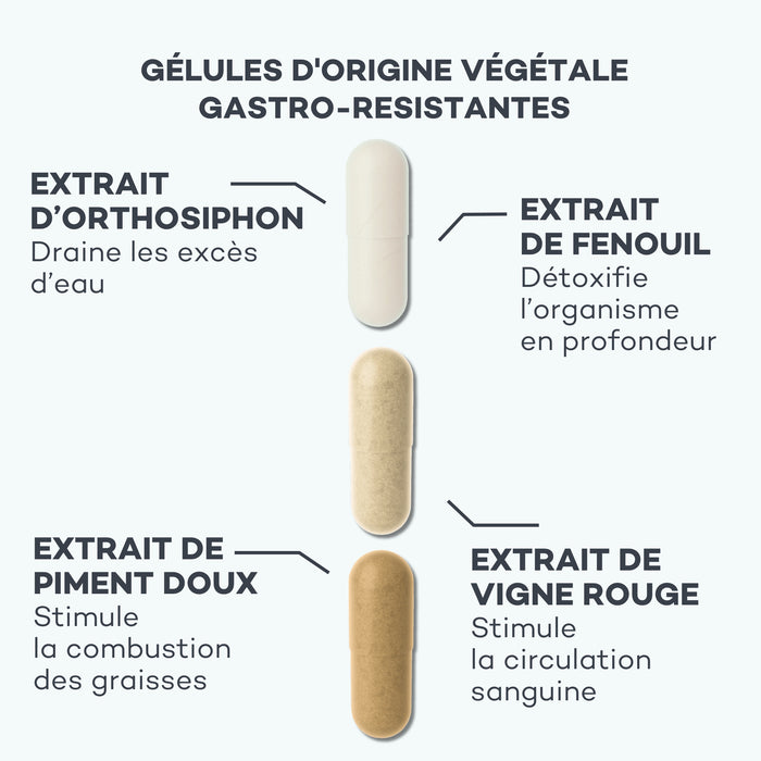 Action-Capitons - Etui Multilingue