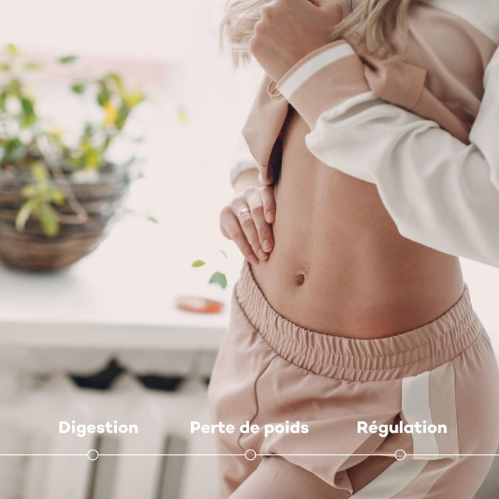 programme ventre plat