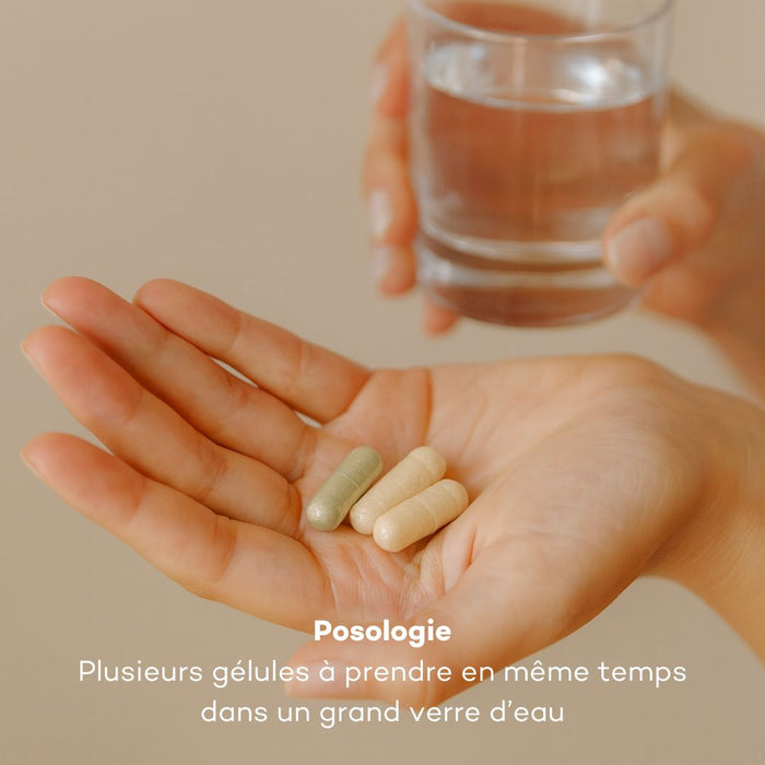 Ventre-Plat