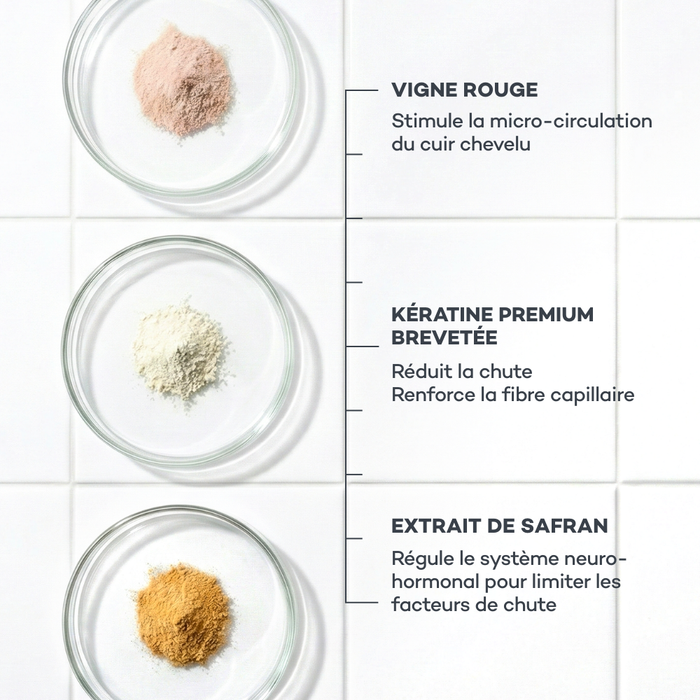 Routine Masse-Capillaire - ETUI MULTILINGUE