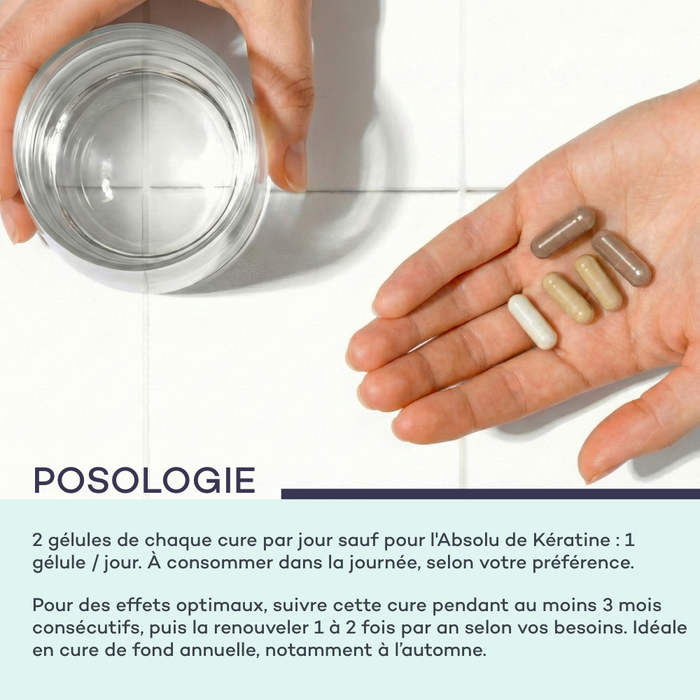 Routine Masse-Capillaire - ETUI MULTILINGUE