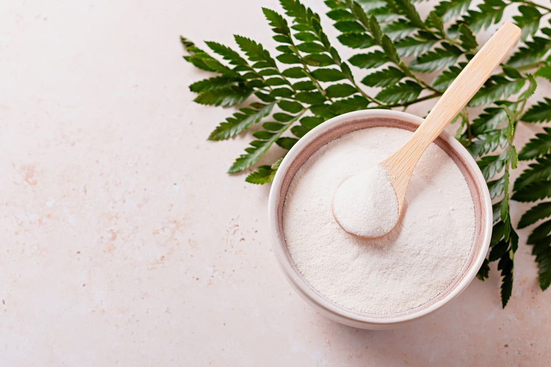 Collagène Marin ou Bovin, les différences pour le corps ? – D-LAB Nutriscometics