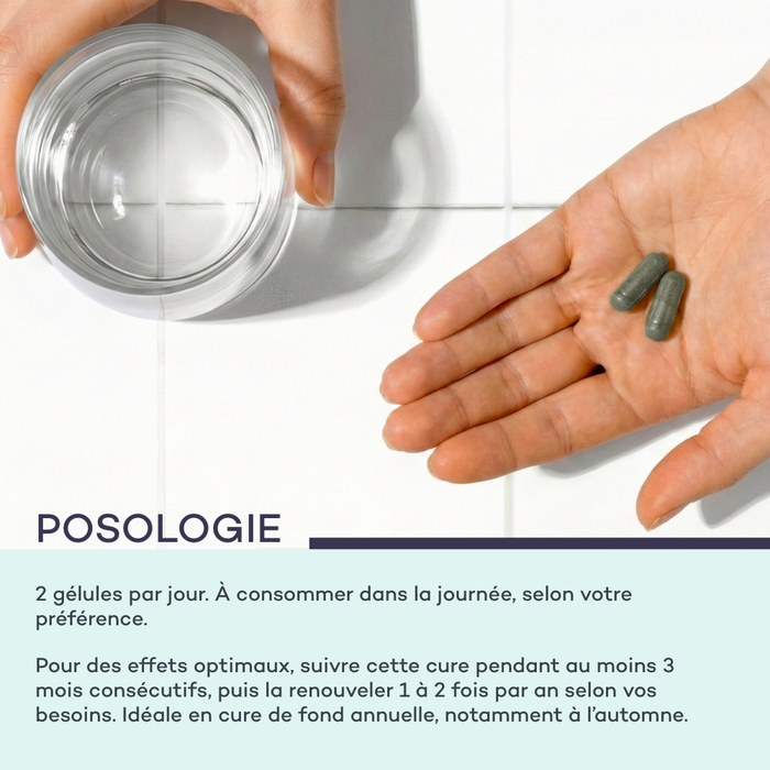 Complexe Hydra-Capillaire