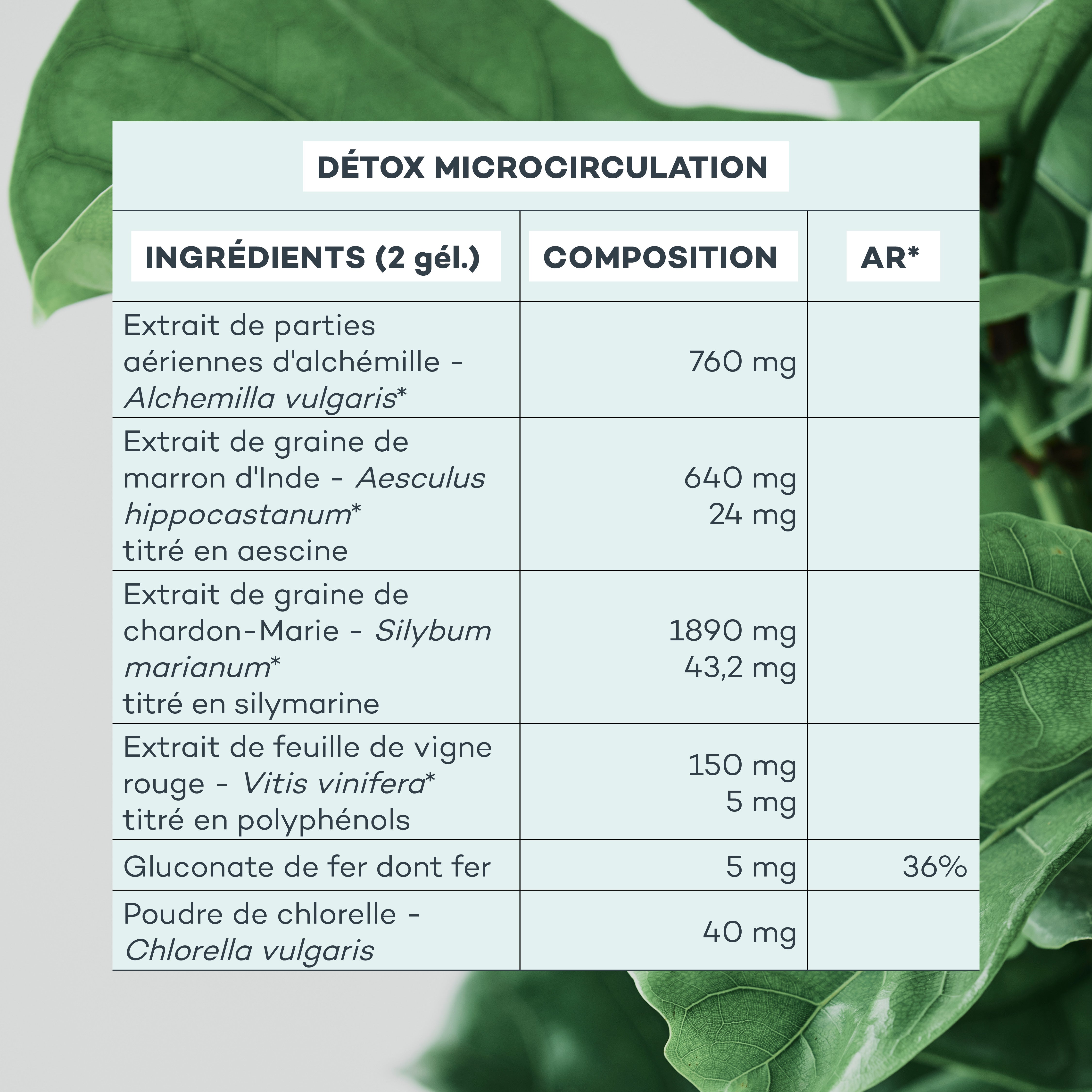 composition détox microcirculation
