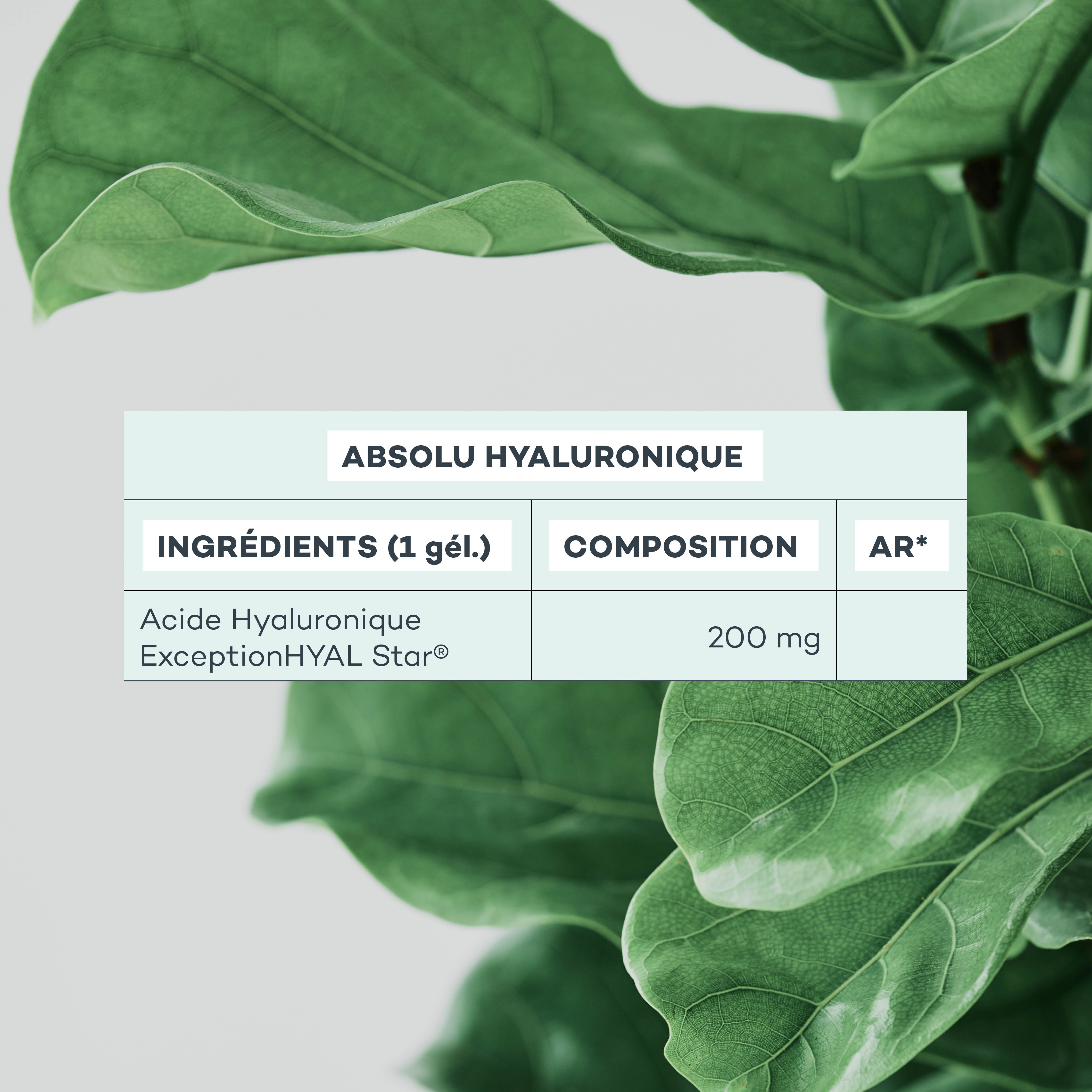 Absolu Hyaluronique ANTI-GASPI