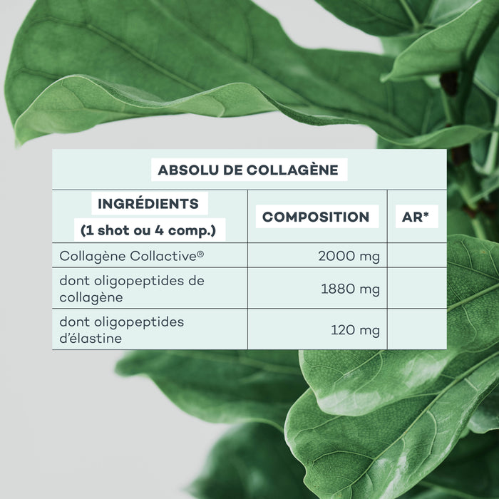 Absolu de Collagène