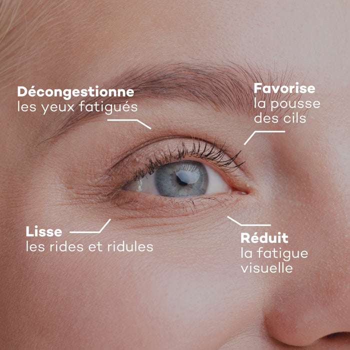 Solution Regard Parfait