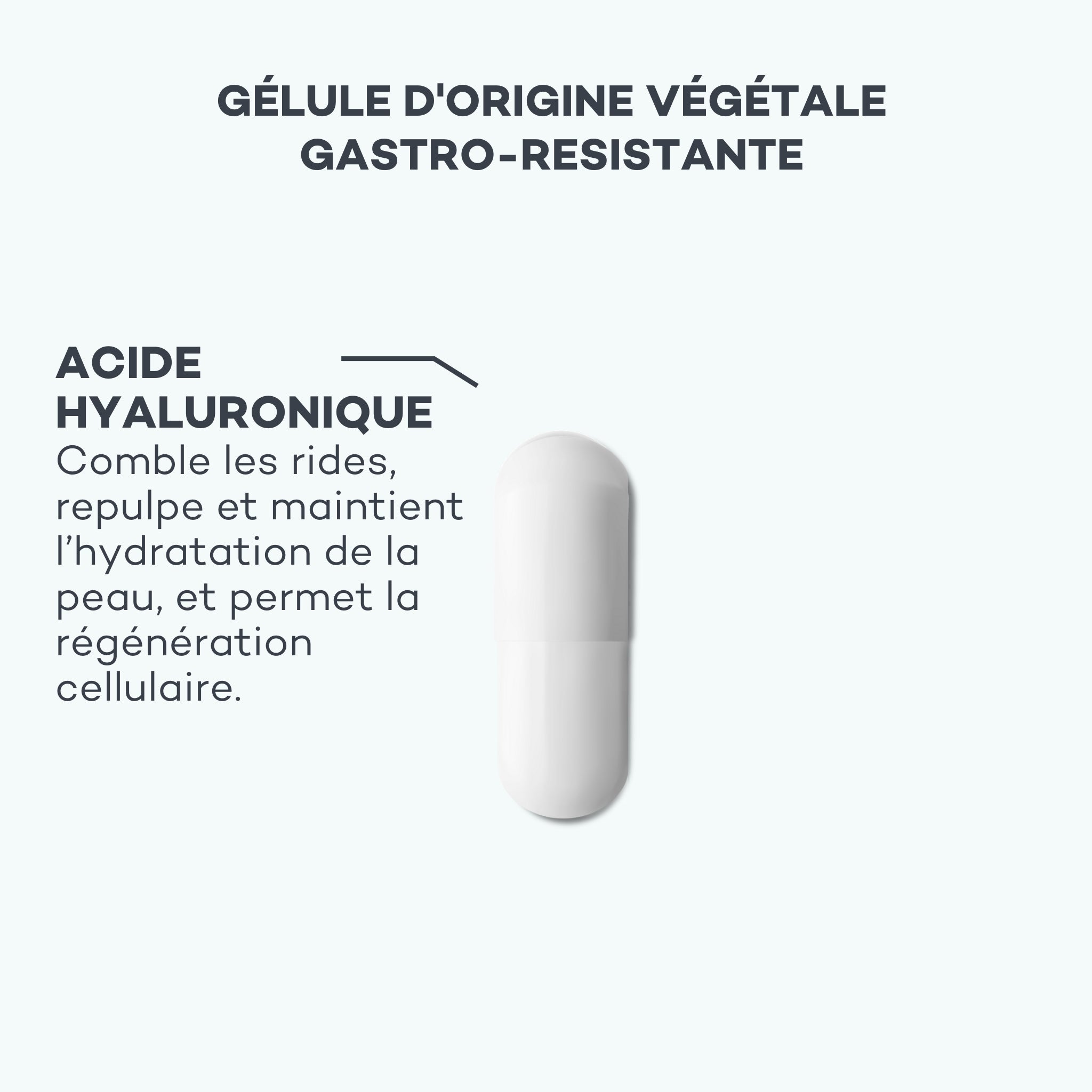 Absolu Hyaluronique ANTI-GASPI