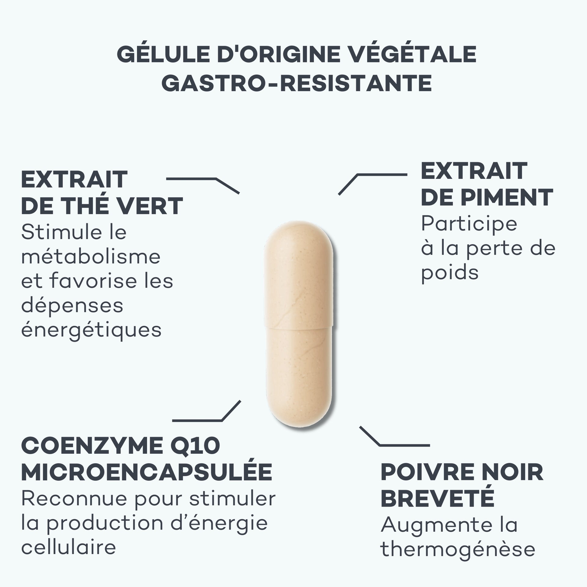 Activateur de Métabolisme