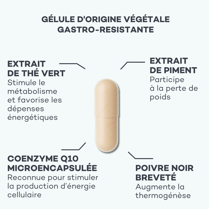 Activateur de Métabolisme DDM COURTE