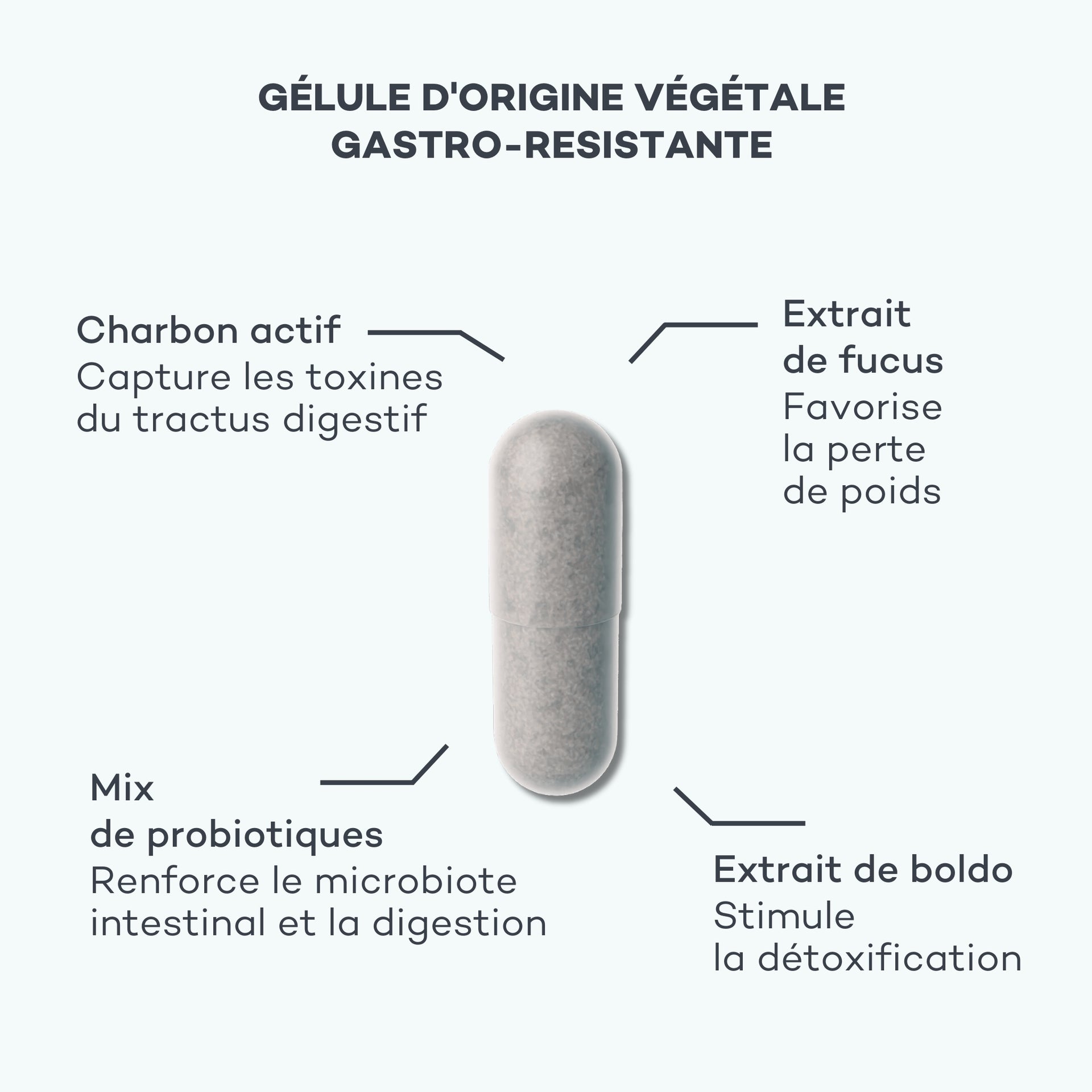 réduire les ballonnements 