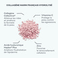 collagène collactive