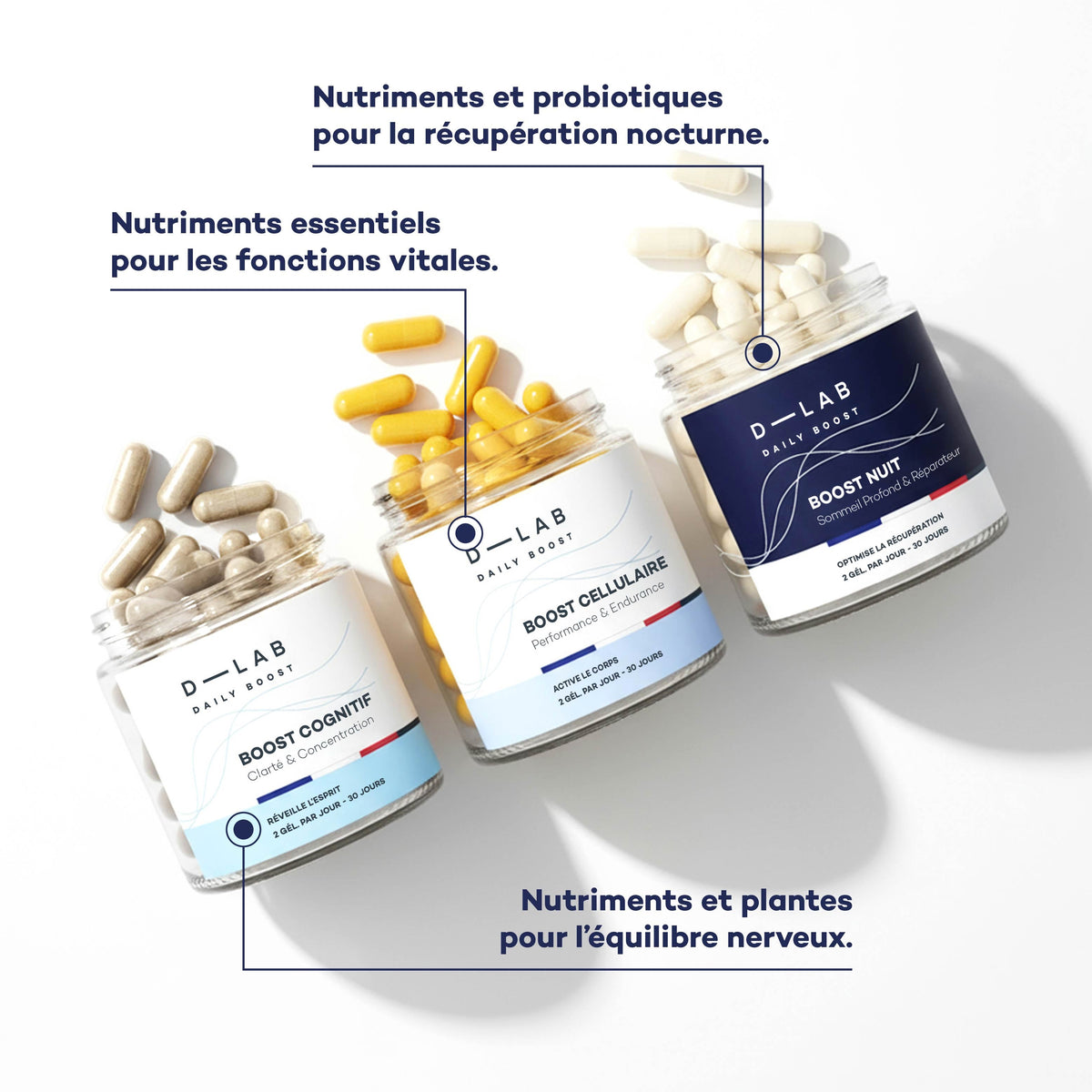 Les trois formules de la Routine Découverte Longévité D-LAB : nutriments pour les fonctions vitales, plantes pour l'équilibre nerveux, probiotiques pour la récupération nocturne