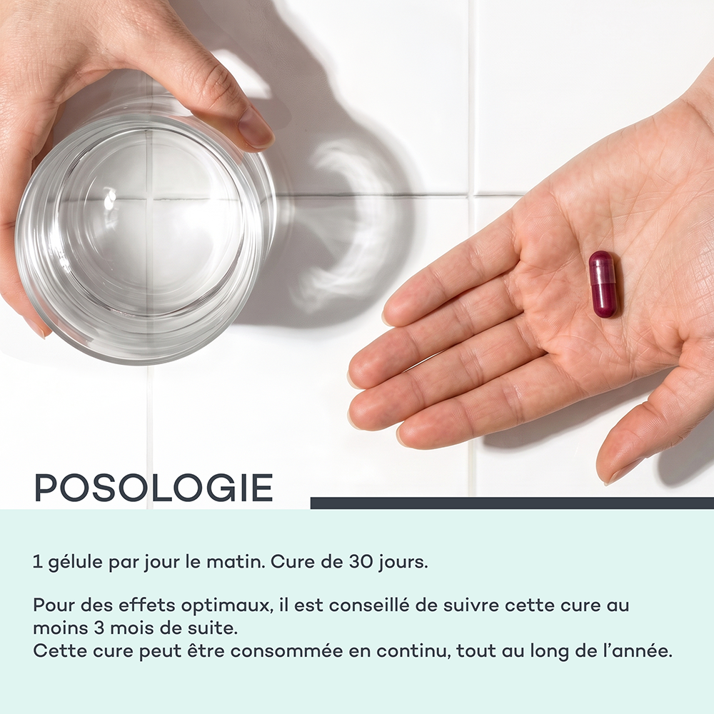 Morosil Shape