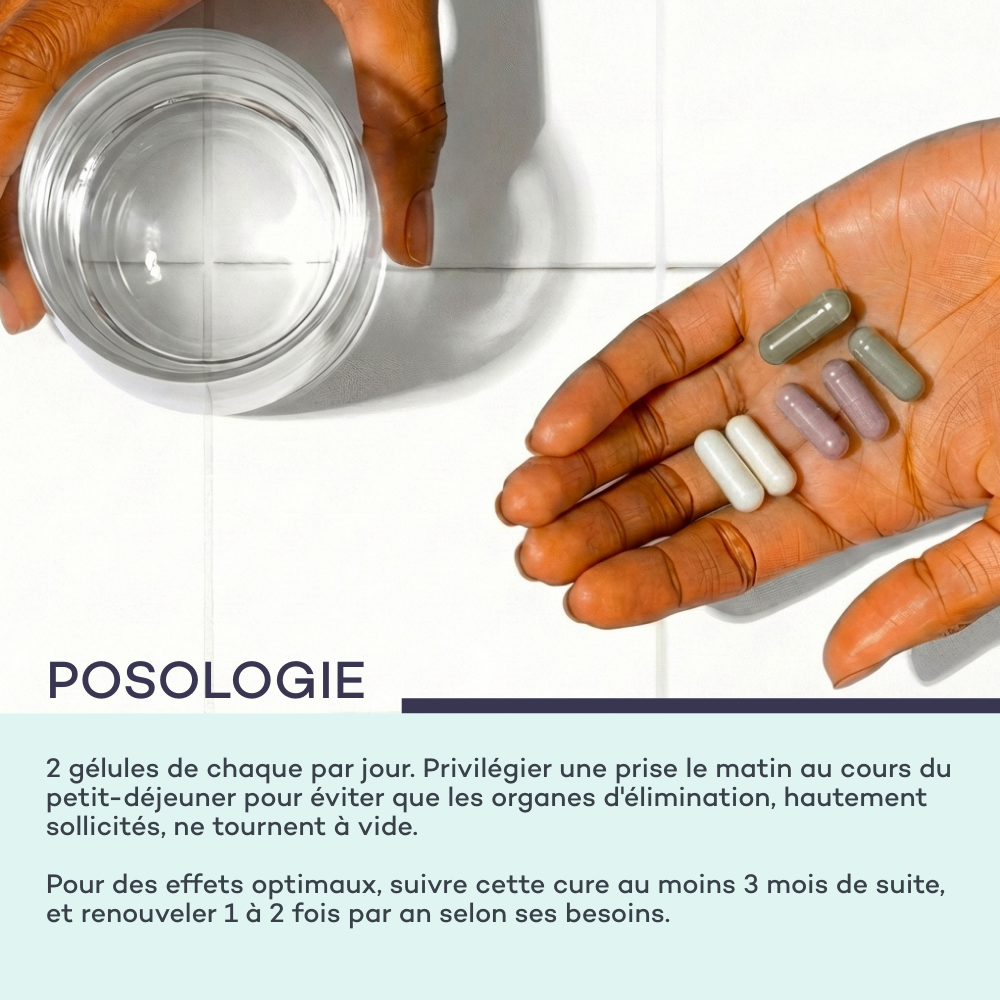 Routine Ventre-Plat