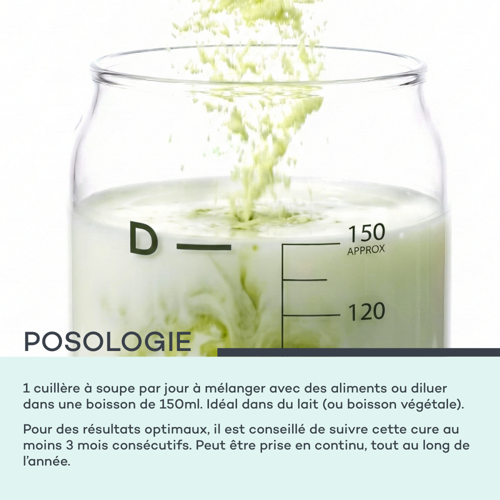 Sticks Peau Neuve - Matcha