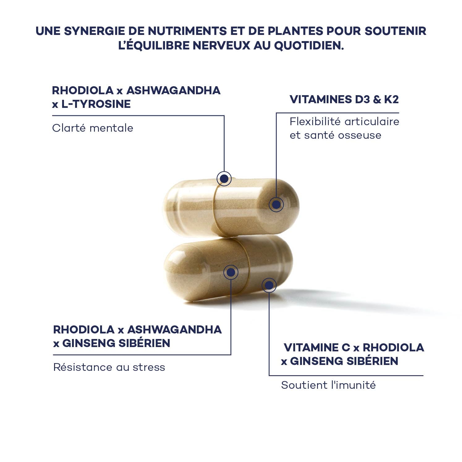 Routine Daily Boost
