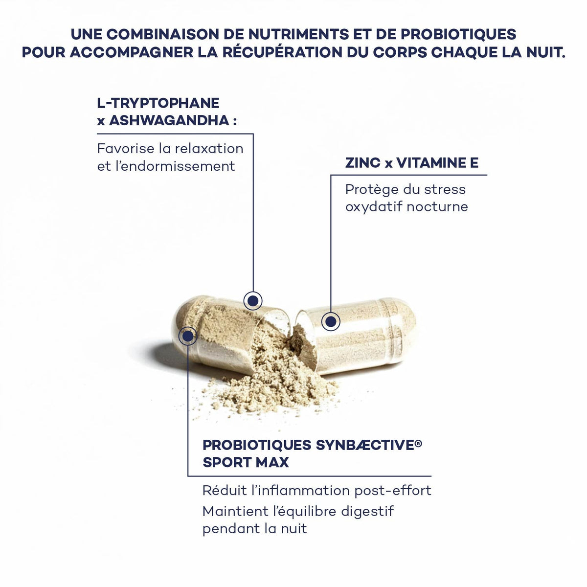 Actifs de la récupération nocturne de la Routine Découverte Longévité D-LAB : L-tryptophane, ashwagandha, zinc, vitamine E et probiotiques SynbÆctive SportMax